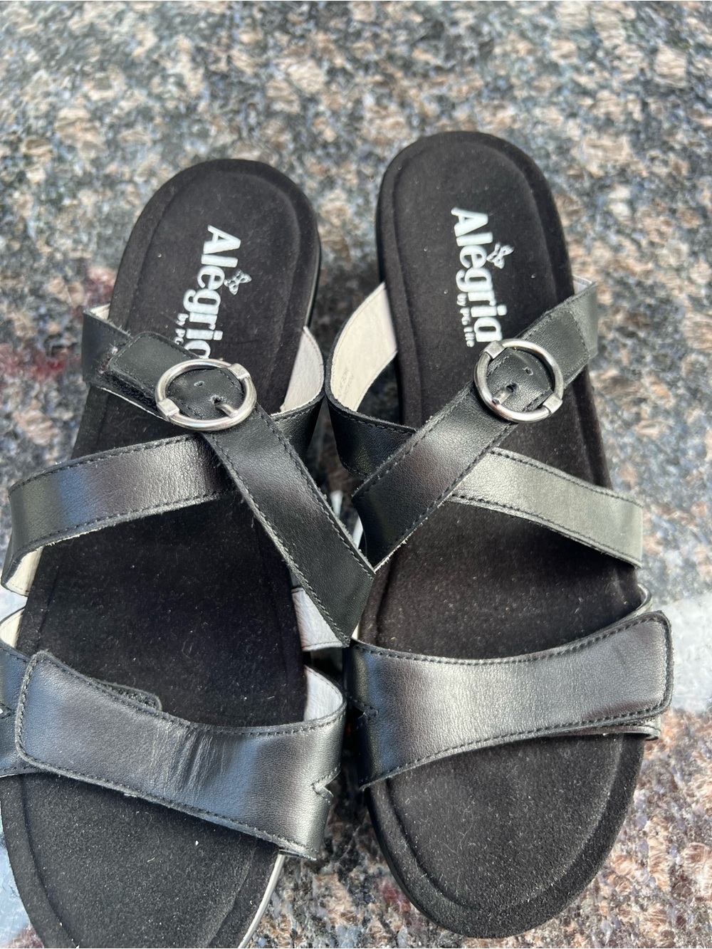 Alegria Black Leather Slide Mules with Buckle Accent